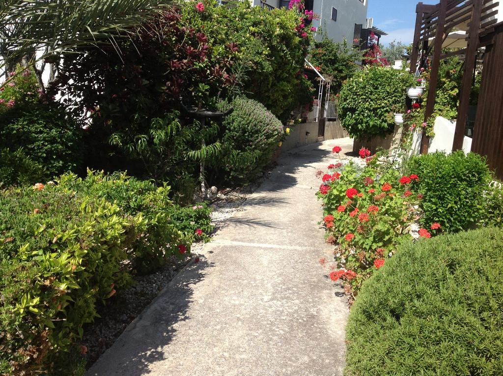 Вілла Paphos Townhouse Екстер'єр фото